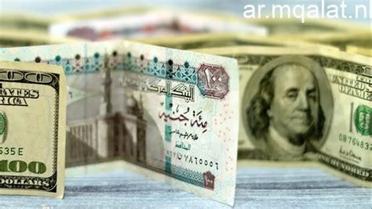 استقرار التعاملات.. سعر الدولار مقابل الجنيه في البنوك المصرية خلال تداول اليوم